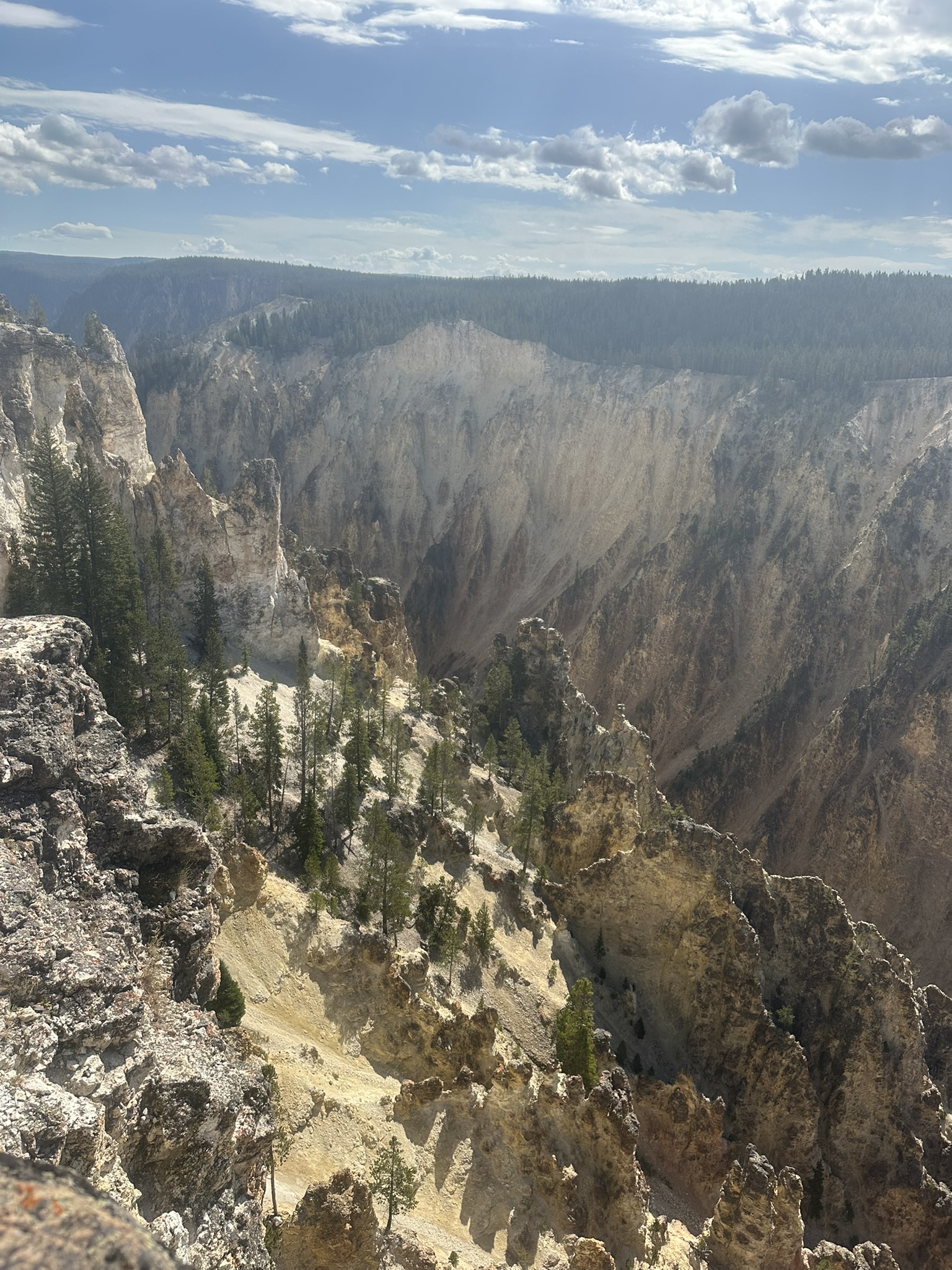 Yellowstone And Grand Teton National Parks - Image 453